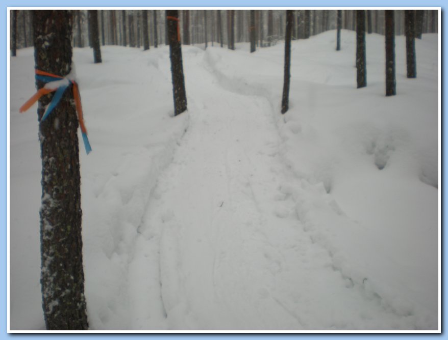 helmikuu2011 008